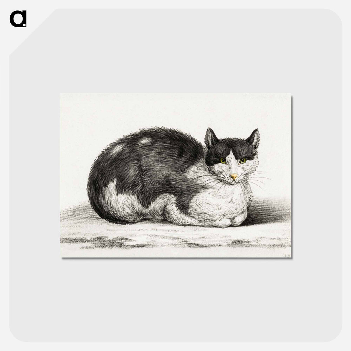 アートポストカード-Lying cat - ジャン ベルナール Postcard.