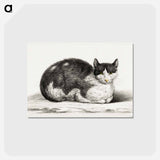 アートポストカード-Lying cat - ジャン ベルナール Postcard.