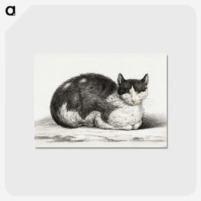 2-96_Jean-Bernard_postcard