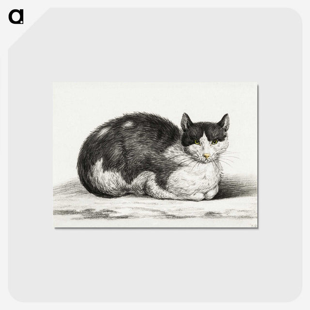 2-96_Jean-Bernard_postcard