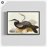 2-96_John-Gould_blk-crop
