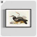 2-96_John-Gould_blk