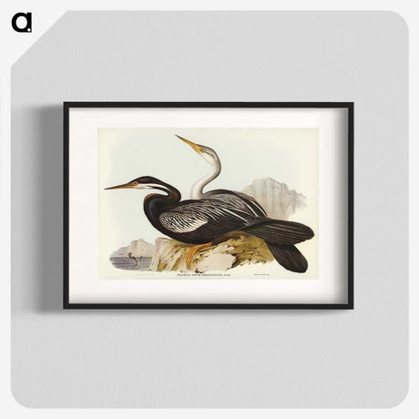 2-96_John-Gould_blk