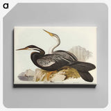 2-96_John-Gould_canvas