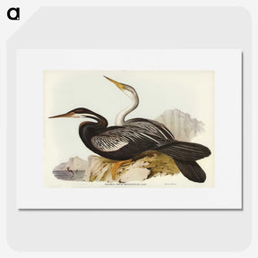 2-96_John-Gould_picture