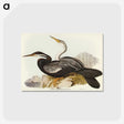 2-96_John-Gould_postcard