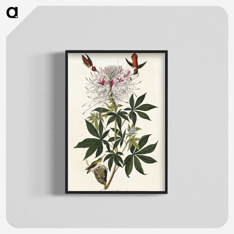 2-96_John-James-Audubon_blk-crop