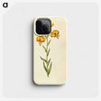 2-96_Maria-Sibylla-Merian_phone