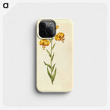 2-96_Maria-Sibylla-Merian_phone