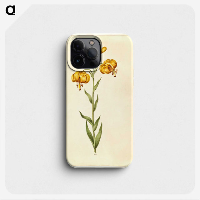 2-96_Maria-Sibylla-Merian_phone