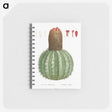 2-96_Pierre-Joseph-Redoute_memo