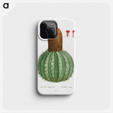 Cactus Melocactus - Pierre Joseph Redouté Phone Case.