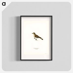 アートポスター-Spotted Flycatcher
 - スヴェンスカ フォグラル Poster.
