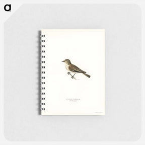 アートメモ帳-Spotted Flycatcher
 - スヴェンスカ フォグラル Memo.