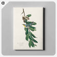 アートパネル-Yellow Throated Warbler from Birds of America
 - アメリカの鳥たち Canvas.