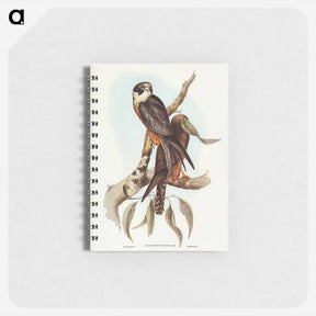 アートメモ帳-Birds of Australia
 - オーストラリアの鳥 Memo.