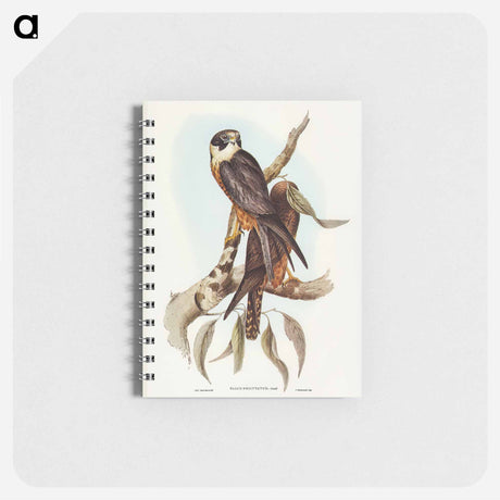 アートメモ帳-Birds of Australia
 - オーストラリアの鳥 Memo.
