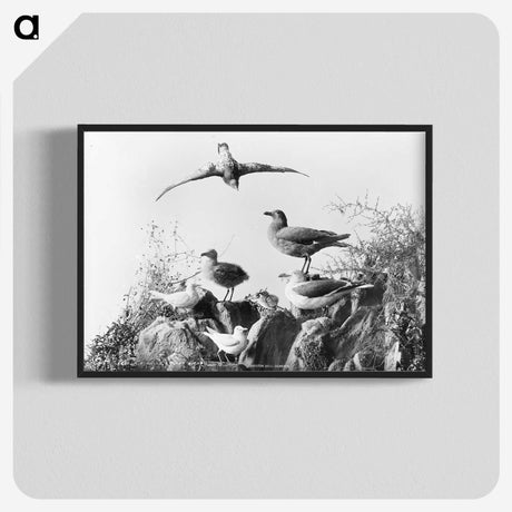 2-96_The-Burton-Brothers_blk-crop