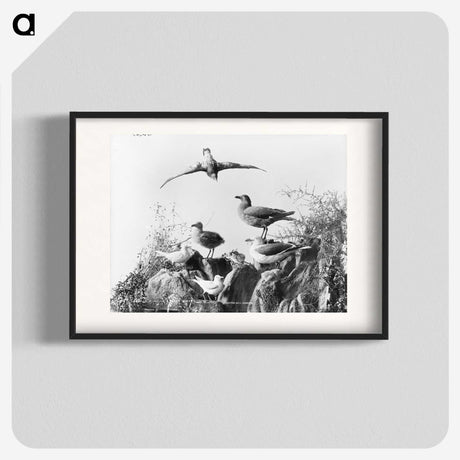 2-96_The-Burton-Brothers_blk