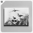 2-96_The-Burton-Brothers_canvas