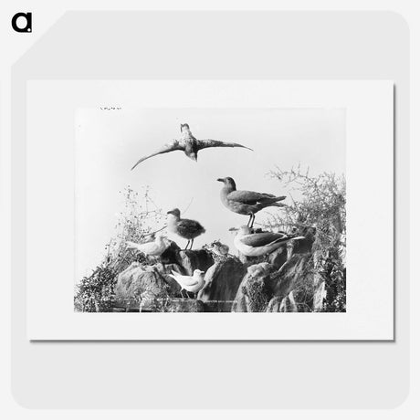 2-96_The-Burton-Brothers_picture