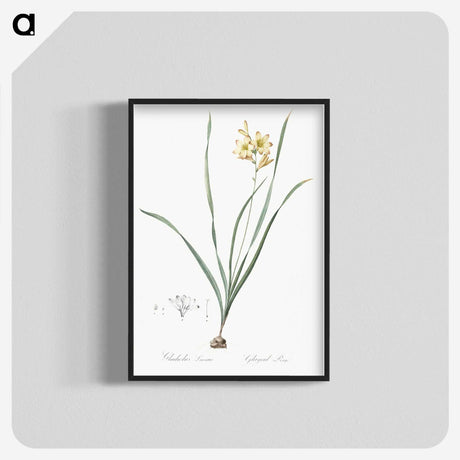 2-96_The-Lilies_blk-crop