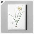 2-96_The-Lilies_canvas