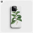 2-96_Treatise-on-Trees-and-Shrubs_phone