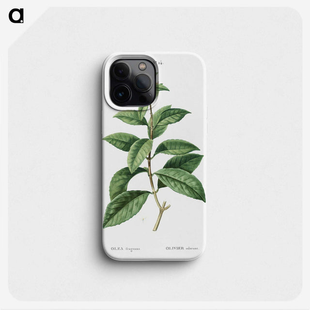 2-96_Treatise-on-Trees-and-Shrubs_phone