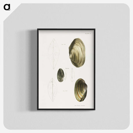 2-96_Zoology-of-New-York_blk-crop