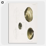 2-96_Zoology-of-New-York_picture-crop
