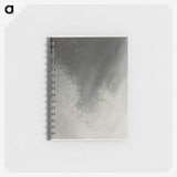 2-97_Alfred-Stieglitz_memo