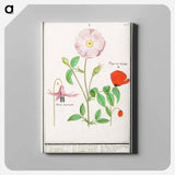 Dogstand, Erythronium, wild rose, Rosa and a poppy, Papaver - アンセルムス ボエティウス デ ブート Canvas.