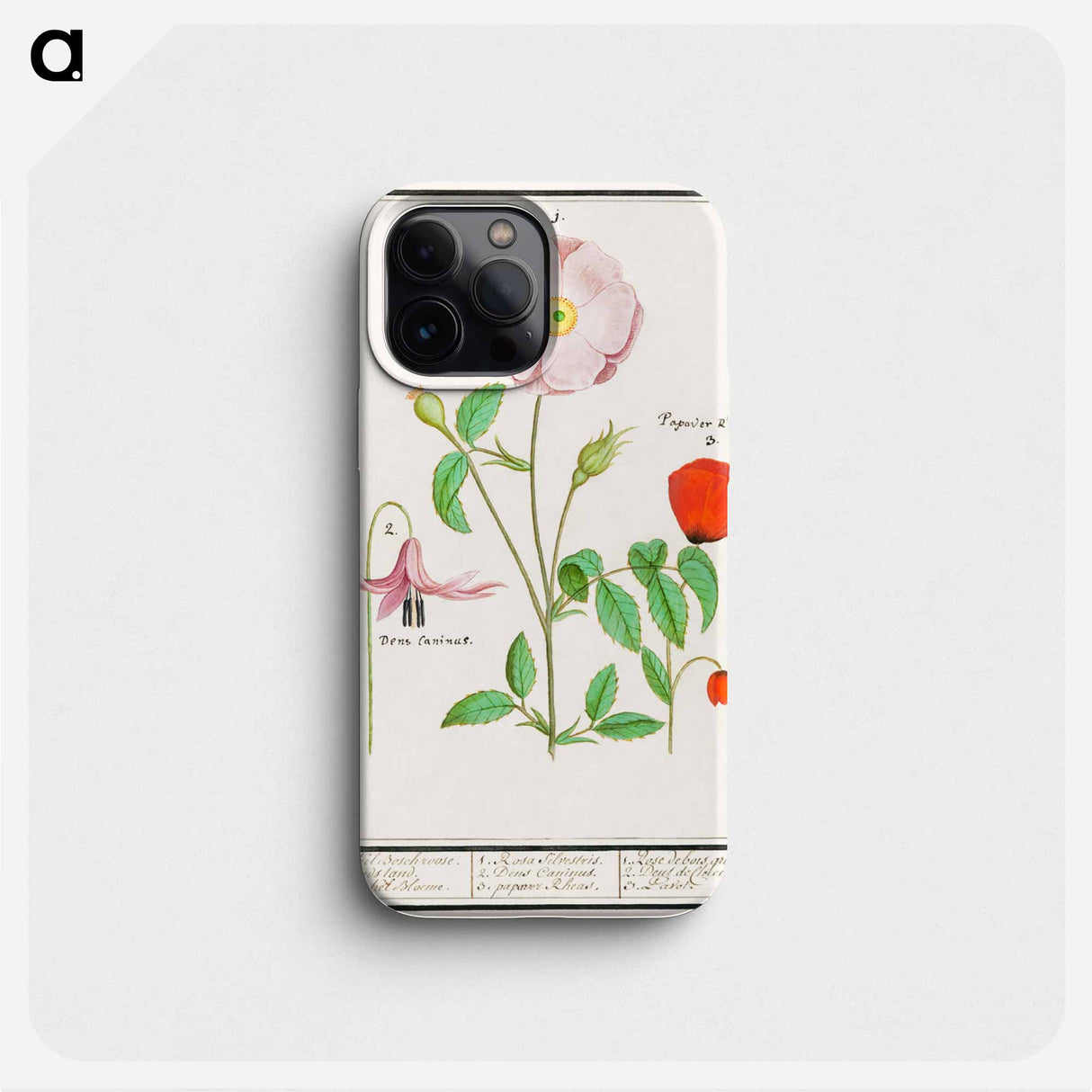 Dogstand, Erythronium, wild rose, Rosa and a poppy, Papaver - アンセルムス ボエティウス デ ブート Phone Case.