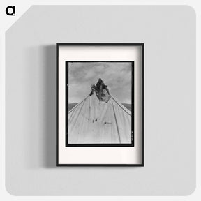 アートポスター-Untitled photo, possibly related to: Pea picker's tent near San Jose, California - ドロテア ラング Poster.