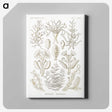 2-97_Ernst-Haeckel_canvas