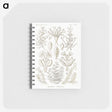 2-97_Ernst-Haeckel_memo