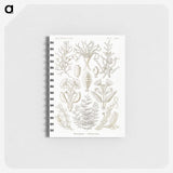 2-97_Ernst-Haeckel_memo