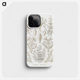 2-97_Ernst-Haeckel_phone