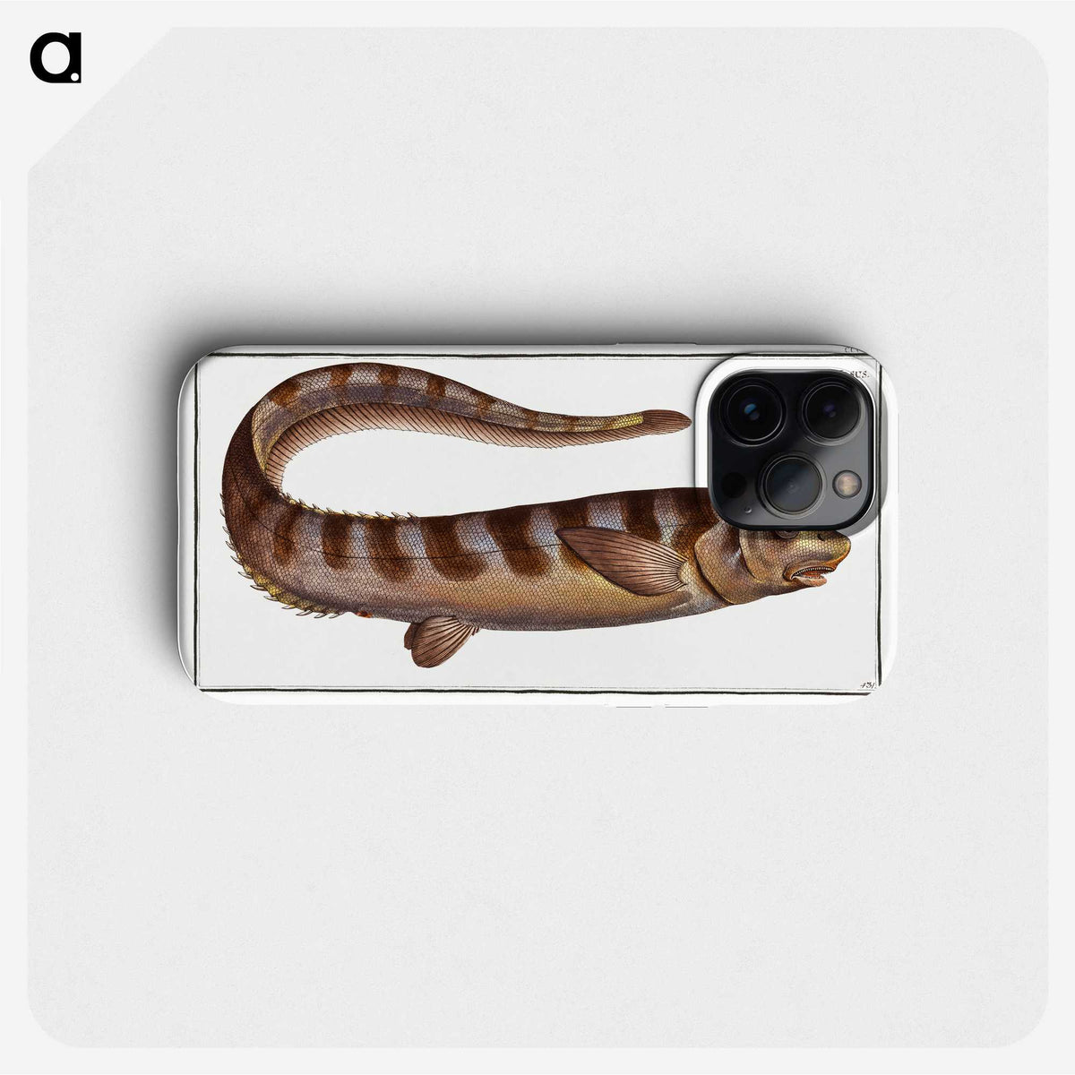 2-97_Ichtyologie-ou-Histoire-naturelle_phone