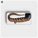 2-97_Ichtyologie-ou-Histoire-naturelle_phone