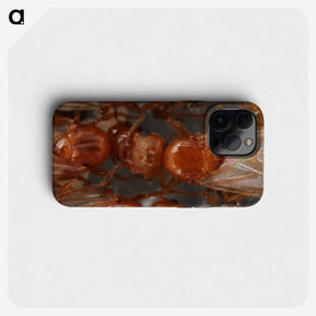 2-97_Insects-Unlocked-Project_phone