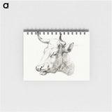 2-97_Jean-Bernard_memo