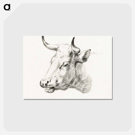 アートポストカード-Head of a cow - ジャン ベルナール Postcard.