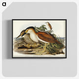2-97_John-Gould_blk-crop