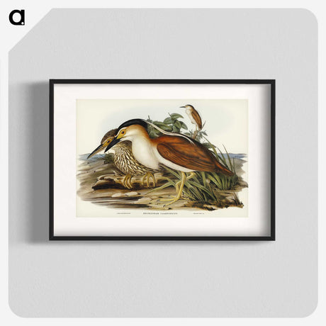 2-97_John-Gould_blk