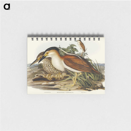 2-97_John-Gould_memo