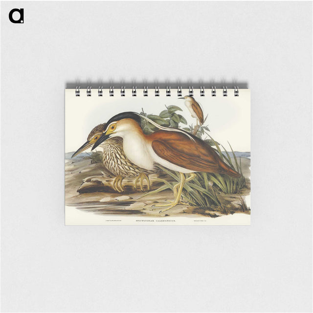 2-97_John-Gould_memo
