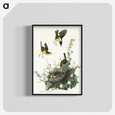 2-97_John-James-Audubon_blk-crop