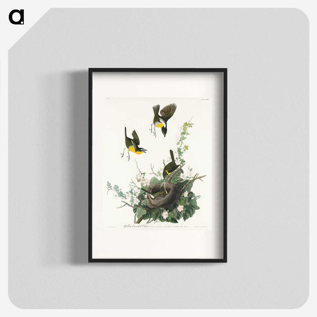 2-97_John-James-Audubon_blk